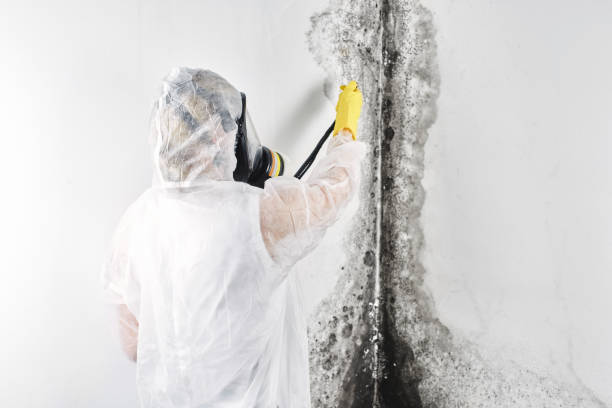 Water damage restoration process